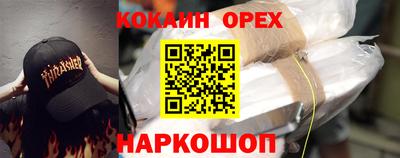 крисы Абакан