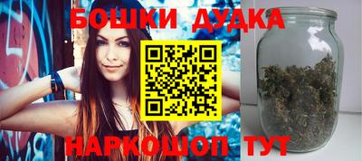крисы Абакан