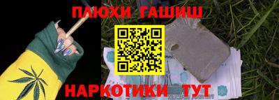 крисы Абакан