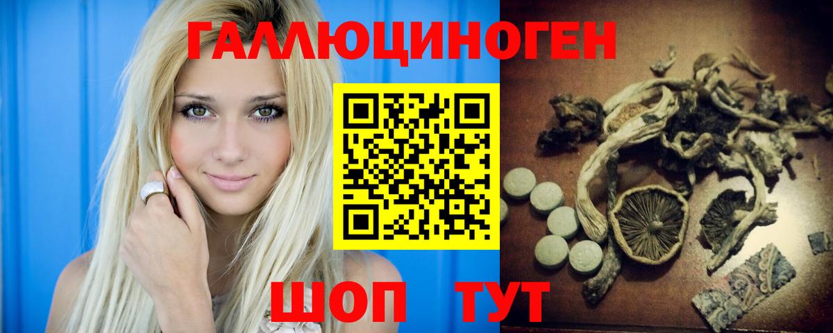 Псилоцибиновые грибы мицелий Александров