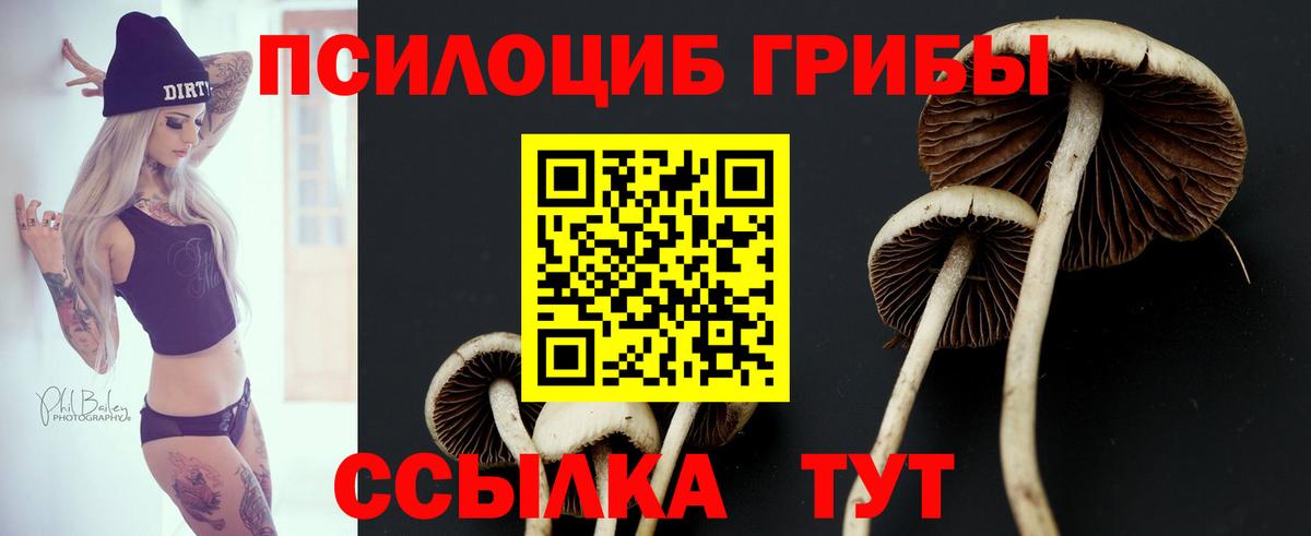 Галлюциногенные грибы мицелий  Вход с VPN  Александров 